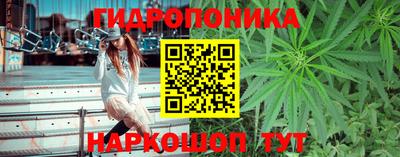 ПСИЛОЦИБИНОВЫЕ ГРИБЫ Волжск