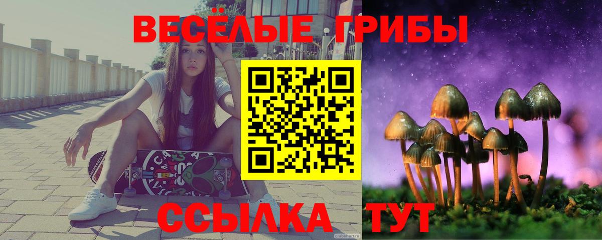 Псилоцибиновые грибы GOLDEN TEACHER  Вход с VPN  Гай  Псилоцибиновые грибы ЛСД 