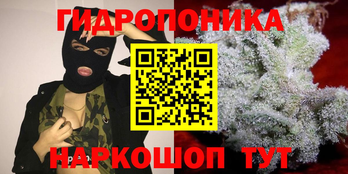 Бошки Шишки OG Kush  Каннабис план  Вход с VPN  Шишки марихуана план  Гай 